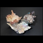 Thawing 10x18x12 in.jpg